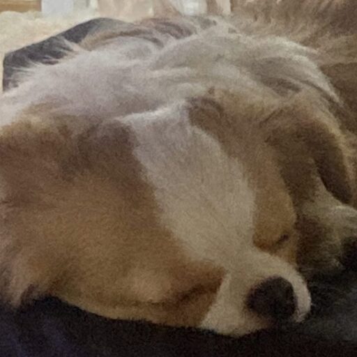 setuyakuonnazibunde.com