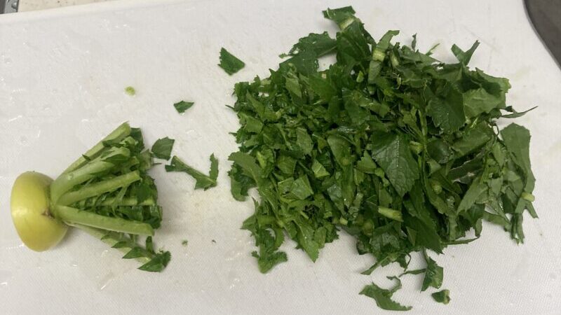 お庭にダイコン現る